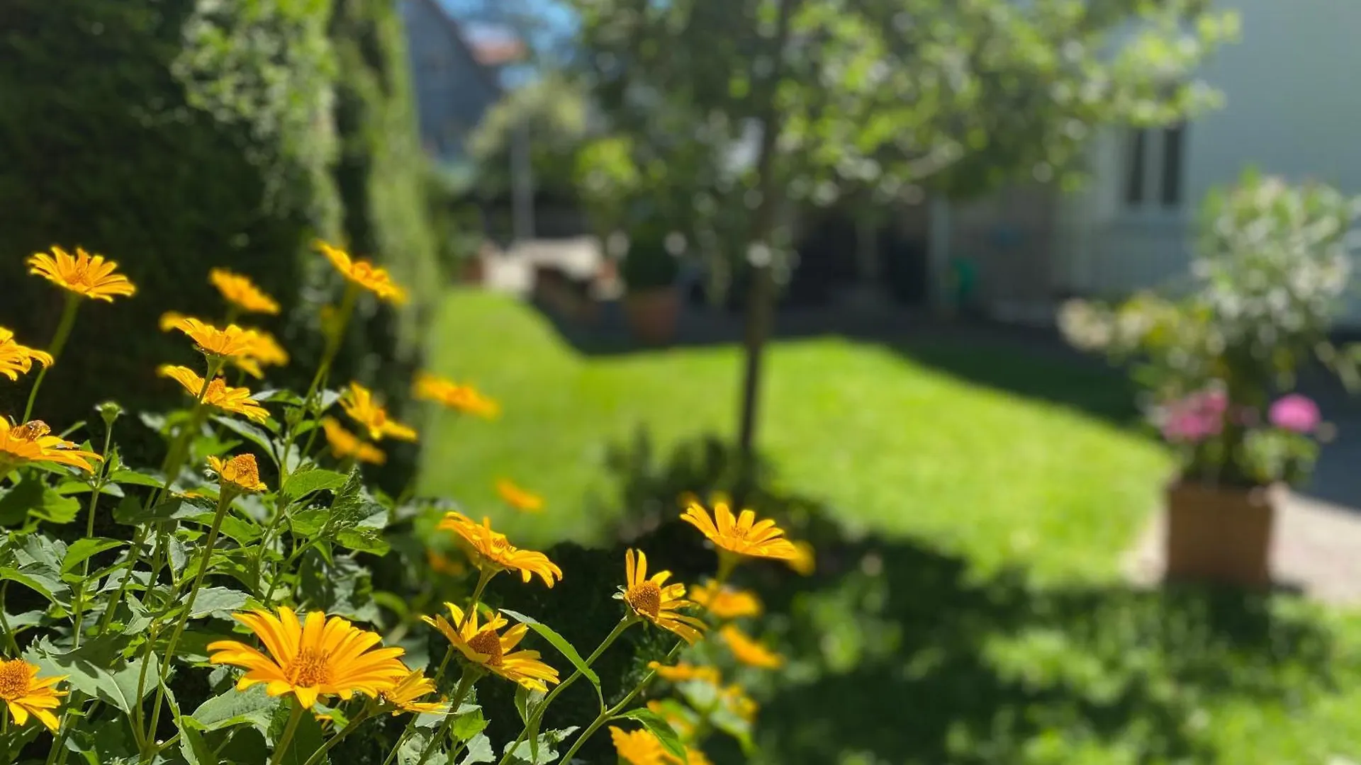 Hotel Villa Solln Monaco di Baviera